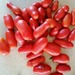 Tomate San Marzano - Tomate San Marzano