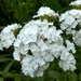 Clavelin Mix - Clavelin Mix