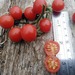 Tomate Cherry Coyol - Tomate Cherry Coyol
