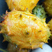 Kiwano - Copia de IMG_20220429_172443135.jpg