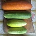Pepino De Ensalada - PP-GQ-21.jpg