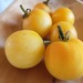 Tomate Amarillo Piel De Durazno - amarillo piel durazno.jpg