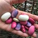 Poroto Pallar Mix - pallares dea.jpg