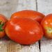 Tomate Amish Paste - Tomate Amih.jpg