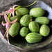 Cucamelon - cucamelon CM 2024.png