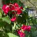 Clarines - WhatsApp Image 2025-04-29 at 10.02.34 AM.jpeg