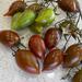 Tomate tamarindo multicolor  - WhatsApp Image 2025-04-30 at 11.04.00 AM.jpeg