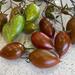 Tomate tamarindo multicolor  - WhatsApp Image 2025-04-30 at 11.03.59 AM (2).jpeg