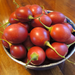 Tomate de Arbol - tamarillo.jpg