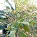 Palqui  - WhatsApp Image 2025-05-27 at 9.52.32 AM.jpeg
