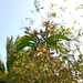 Palqui  - WhatsApp Image 2025-05-27 at 9.52.32 AM (1).jpeg