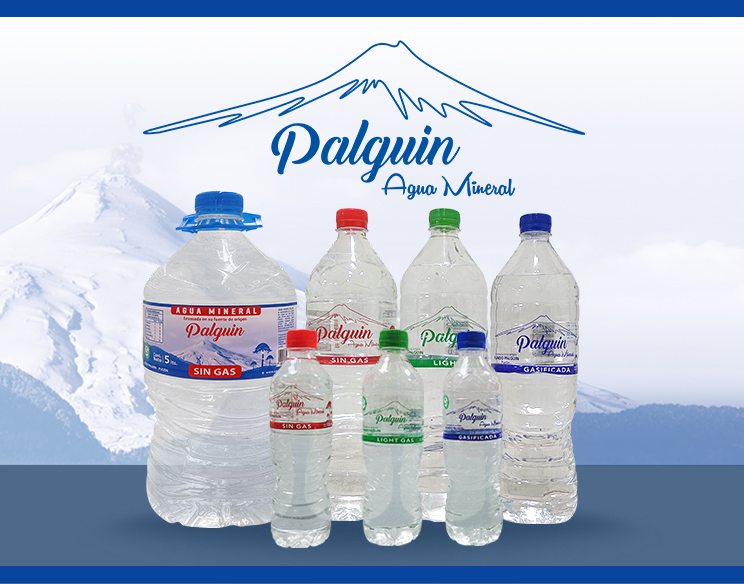 Galer_a_mosaico_secundaria_superior_izquierda_AGUA_PALGUIN_jpg