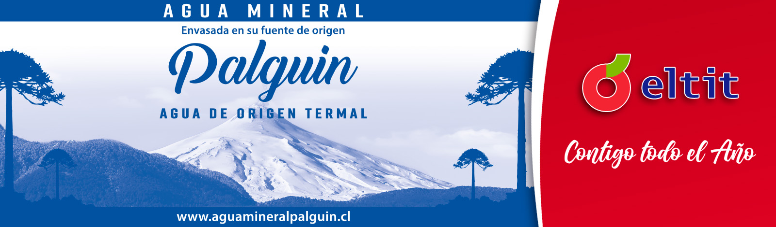2-BANNER_WEB_agua_palguin.jpg