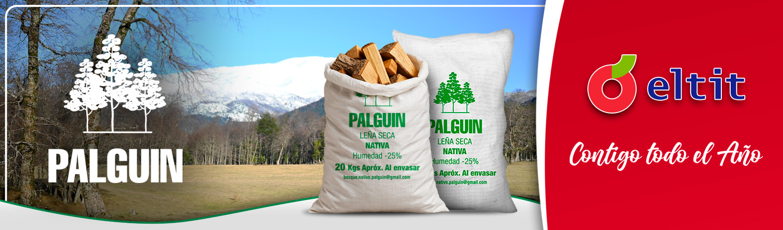 BANNER_WEB_LEÑA_PALGUIN.jpg