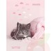 Cuaderno Animales  120 Hojas 5mm ProArte - 7807265040108 3.JPG