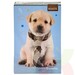 Croquera Animales 16x21cm ProArte - croa1.JPG