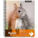 Cuaderno Proarte Universitario 100H 7Mm Nature - nat9.JPG