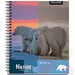 Cuaderno Proarte Universitario 100H 7Mm Nature - nat7.JPG