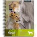 Cuaderno Proarte Universitario 100H 7Mm Nature - nat 3.JPG