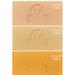 SIO2 PASTA REFRACTARIA MARRON DORADO PRGI 0-0.2 MM 12,5 KG - prgi-refractaria-gris-0-02mm-125kg.jpg