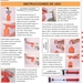 SET DE 3 BOQUILLAS PULVERADOR PAINTEC (0,3-1-1,2 MM) - SprayGunINST-ESP_001.jpg