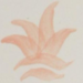 PIGMENTO BAJO CUBIERTA ALTA Y BAJA T° CD-19 ROSA - CD-19.png