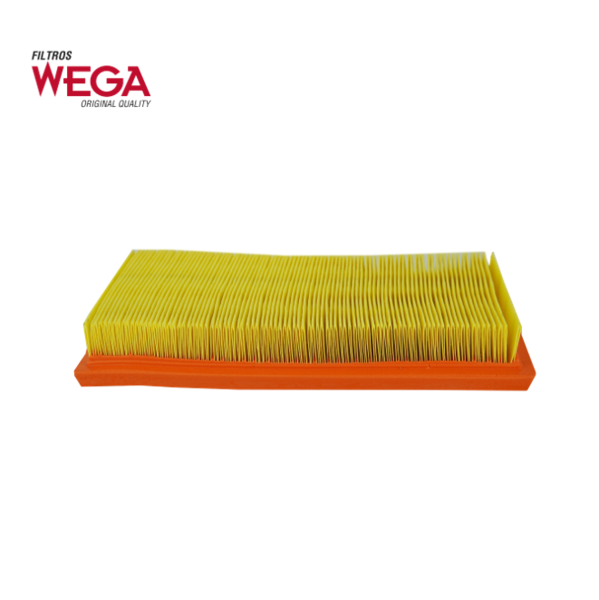  - C2556 Filtro Aire Wega FAP-4041