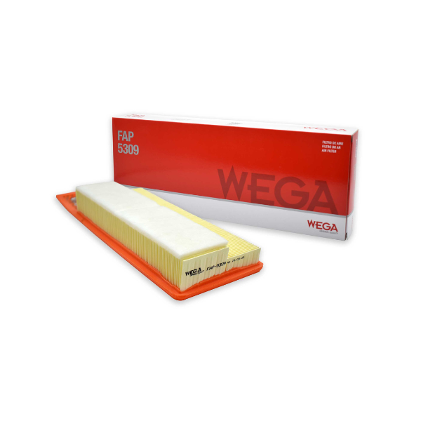  - C36006/1 Filtro Aire Wega FAP-5309