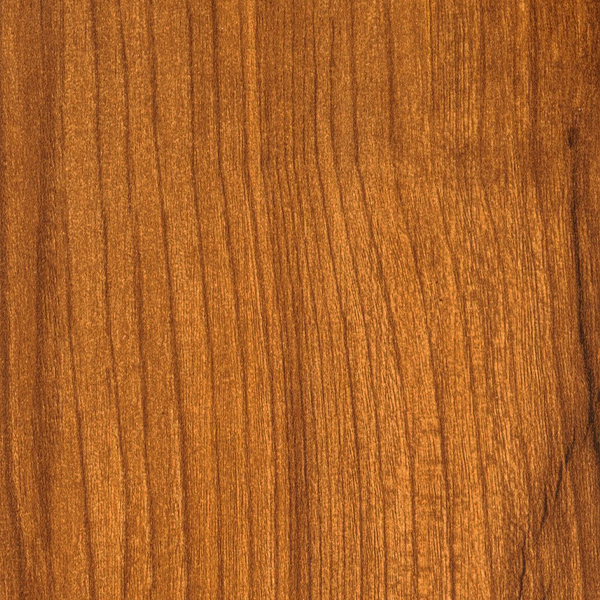  - ENCINA (ACACIA NATURA).jpg