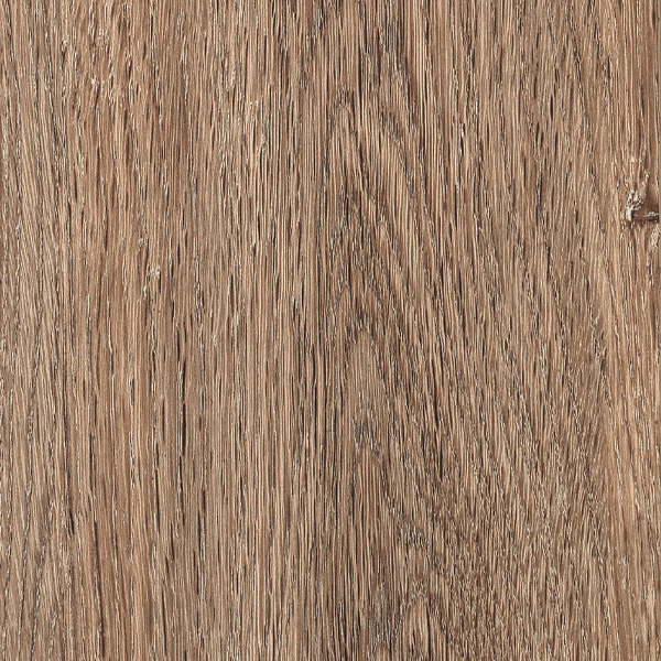  - ACACIA LATTE (KALAHARI).jpg