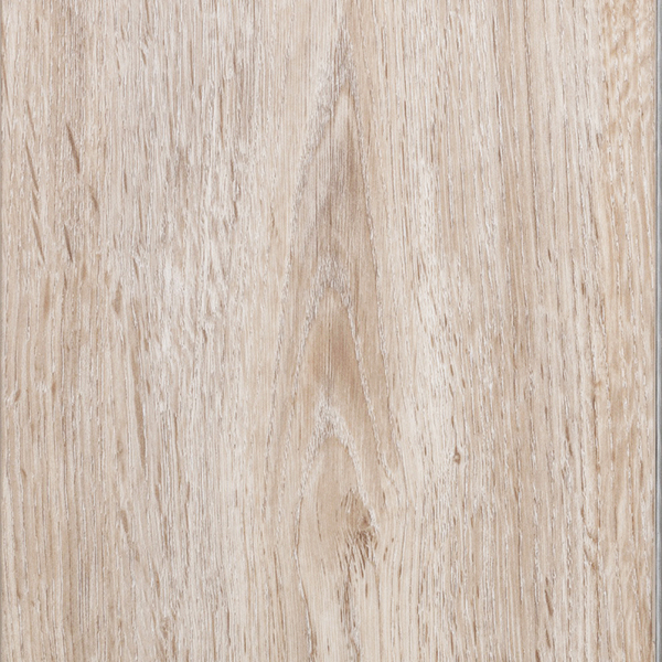  - ACACIA (HIMALAYA).jpg