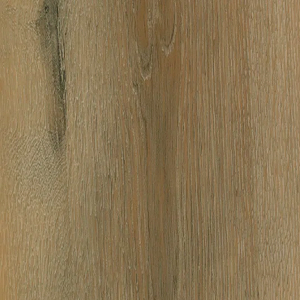  - ACACIA NÒRDICA.jpg