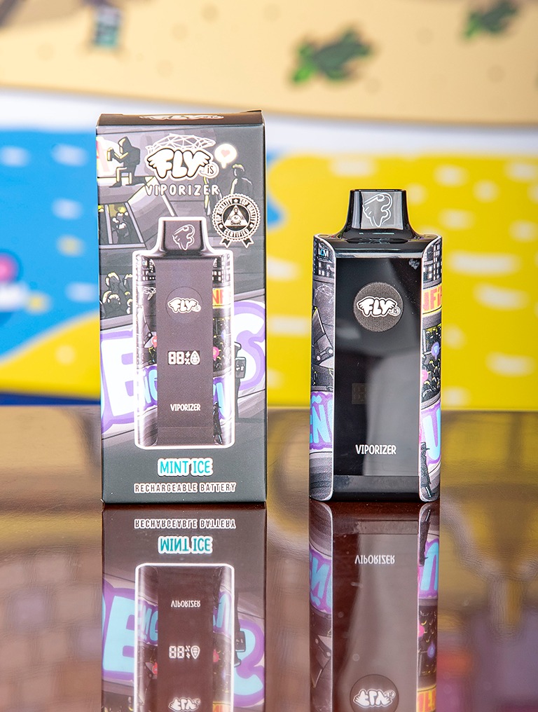  - Vaporizador Fly Is Mint Ice 10000 .png.jpg