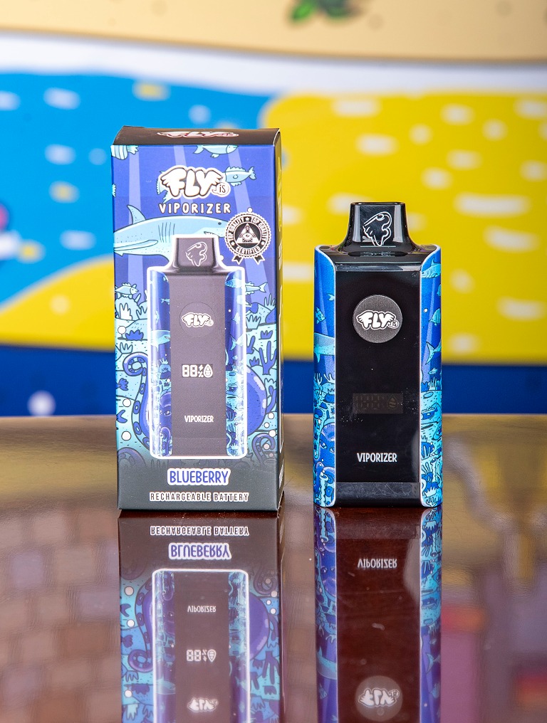  - Vaporizador Fly Is Blueberry 10.000 .png.jpg