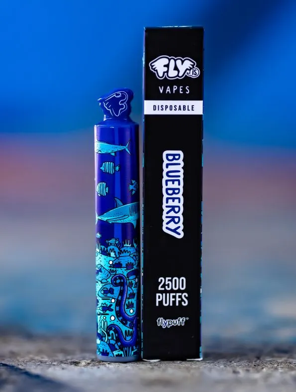  - blueberry-3-595x787.webp