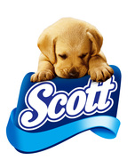 Scott logo
