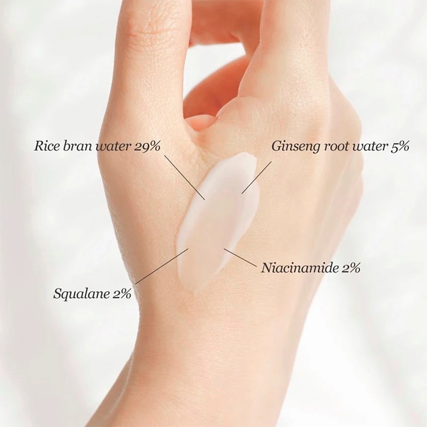 Infografía Dynasty Cream Beauty of Joseon con porcentajes de activos clave marcados sobre la piel: Rice Bran Water 29%, Ginseng Root Water 5%, Squalane 2%, Niacinamide 2%. Crema anti-aging coreana con ingredientes hanbang y ciencia moderna.