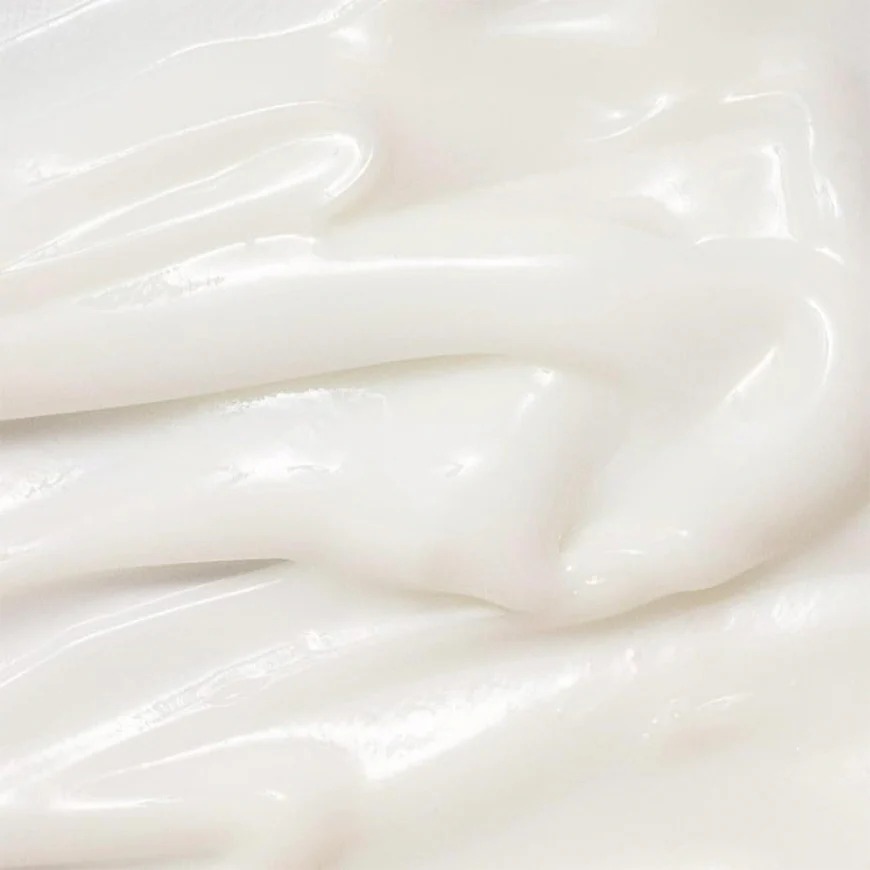 Close-up de la textura de la Dynasty Cream Beauty of Joseon 50ml: crema blanca y suave que se absorbe sin residuo graso ni sensación pesada. Formulada con Squalane, Triple Ácido Hialurónico y Ceramida NP. No comedogénica.