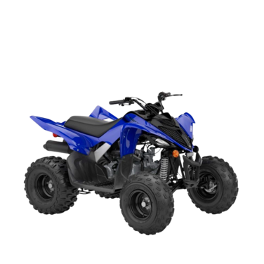 RAPTOR 110