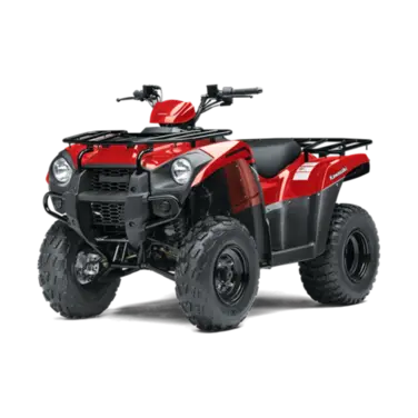 Brute Force 300
