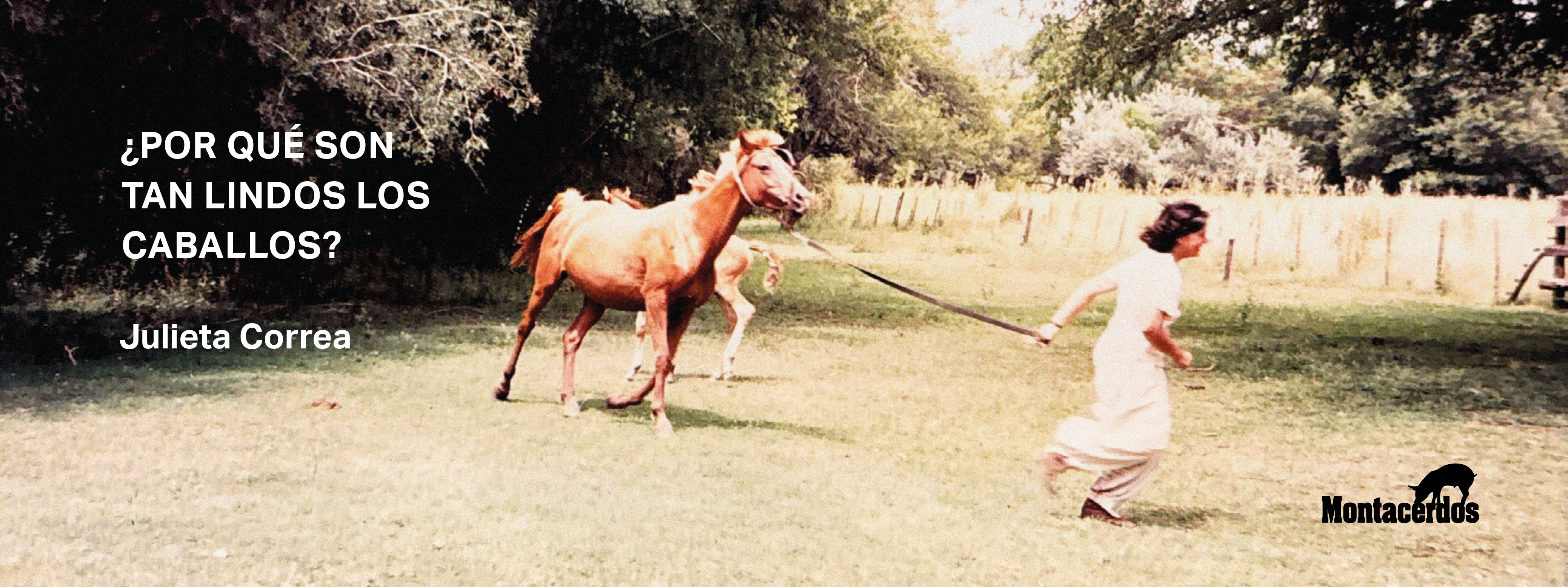 Banner_Los_Caballos_(1)_page-0001.jpg