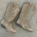 230441 Vison - w-_B.jpg