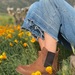 250374 Toffee - IMG_9414.jpg
