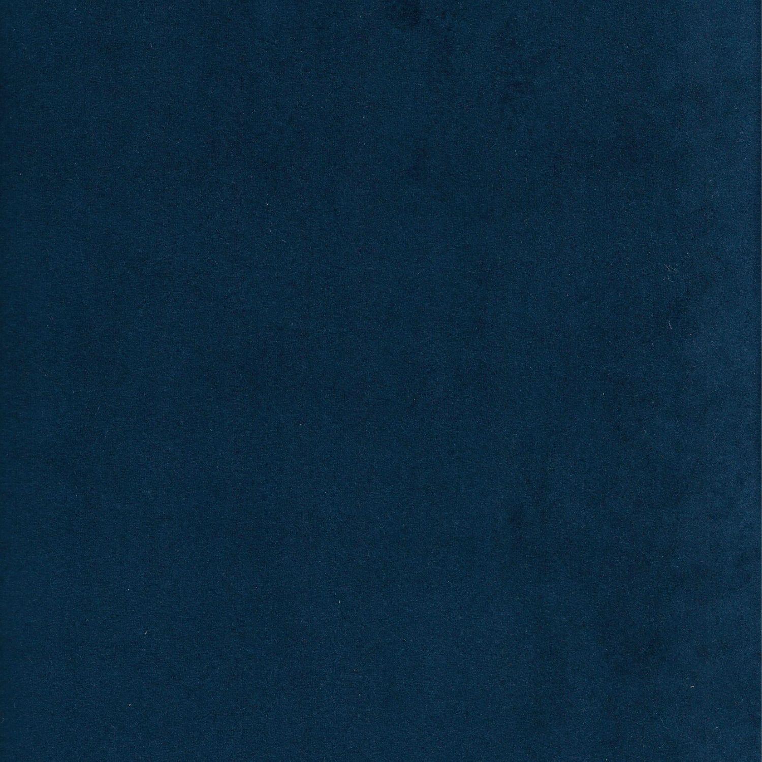  - Marine.jpg