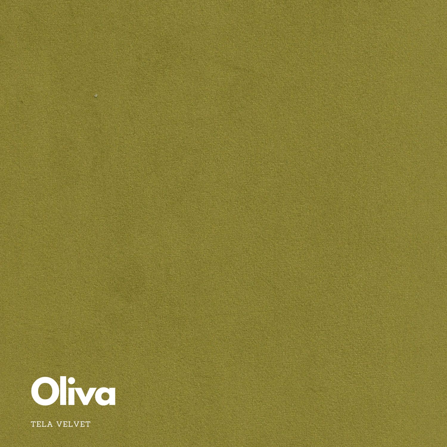  - Oliva.jpg