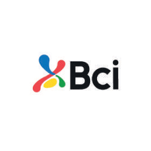 bci.jpg