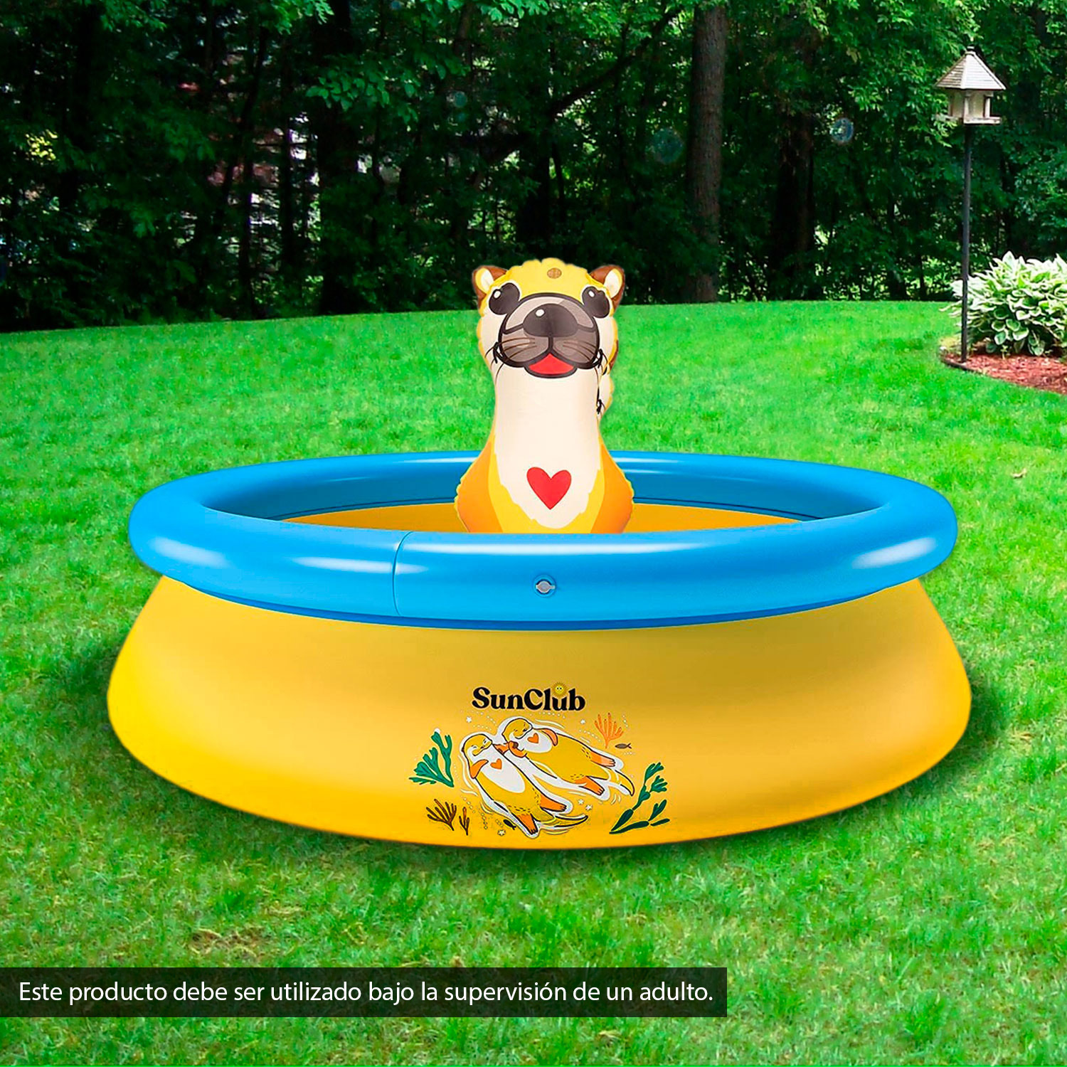  - 777819-1336350-6.jpg