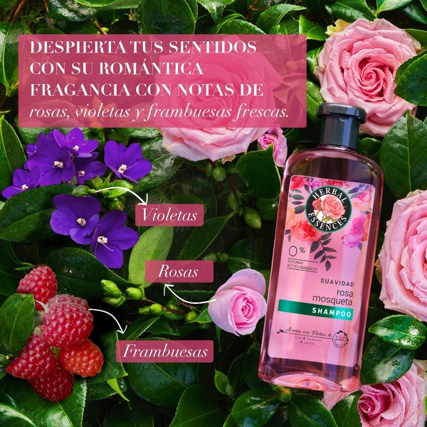 Herbal Essences Shampoo Frasco Classic Smooth 400 Ml - Liqui