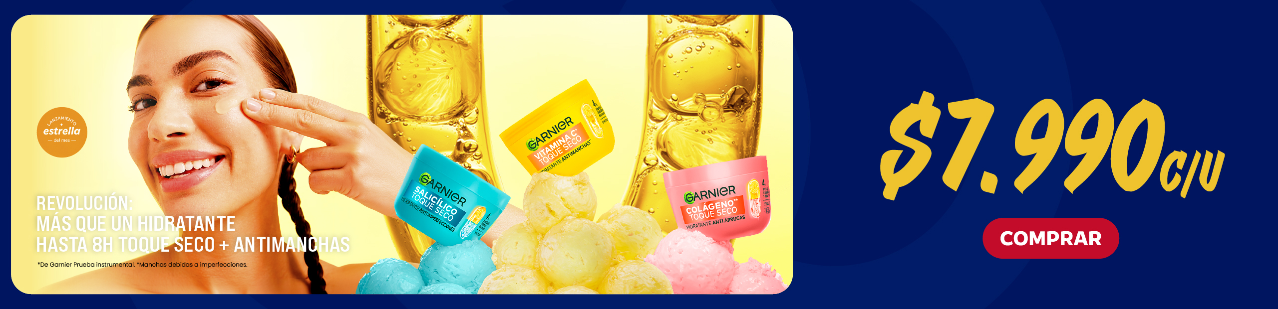 Garnier_des.jpg