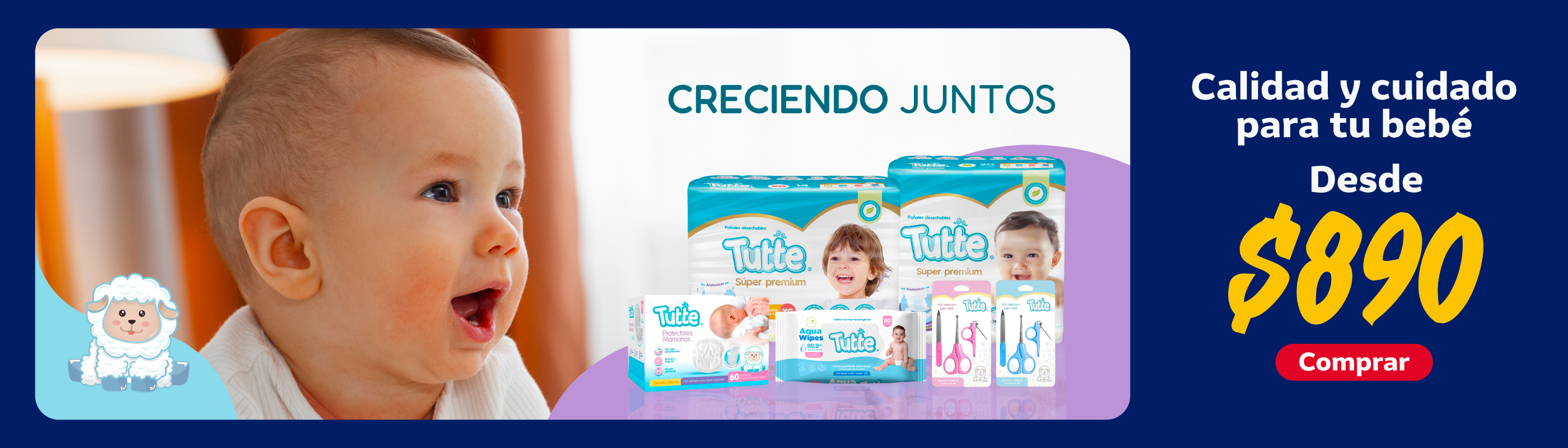 Banner_Desk_Tutte.jpg